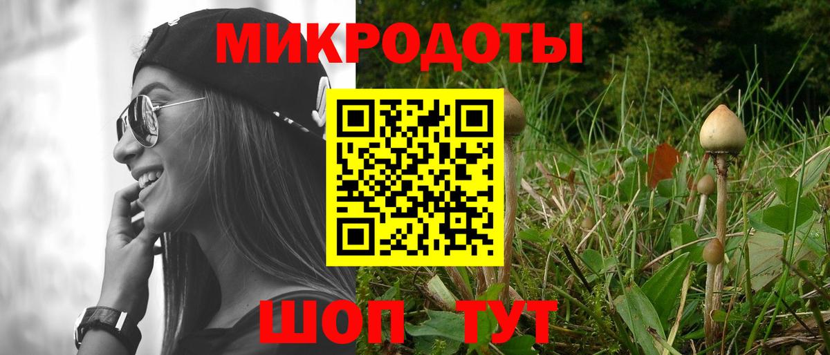 Псилоцибиновые грибы Psilocybine cubensis  купить   Конаково  Вход с VPN 